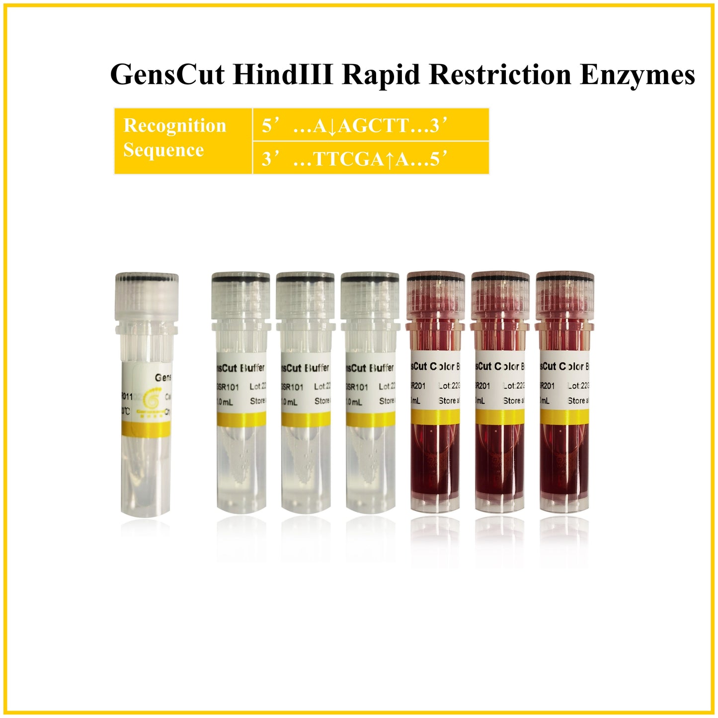 GensCut HindIII
