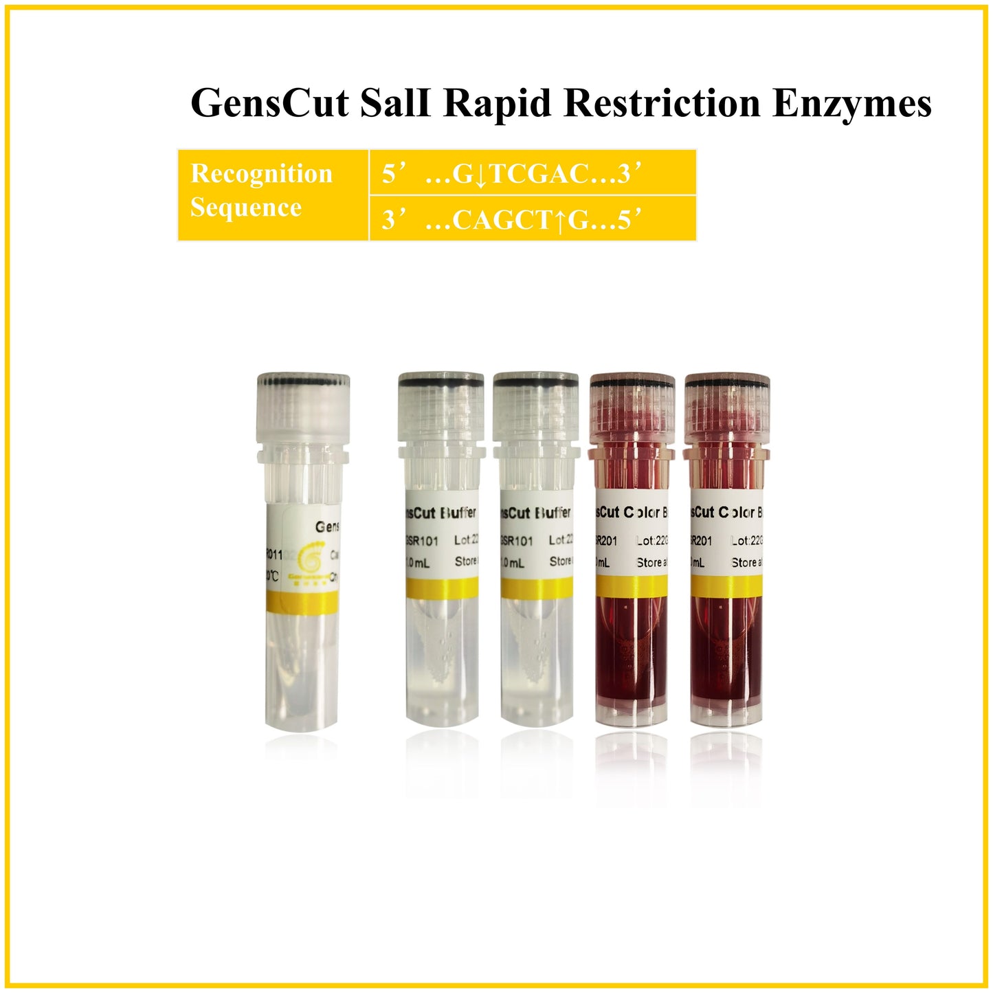 GensCut SalI