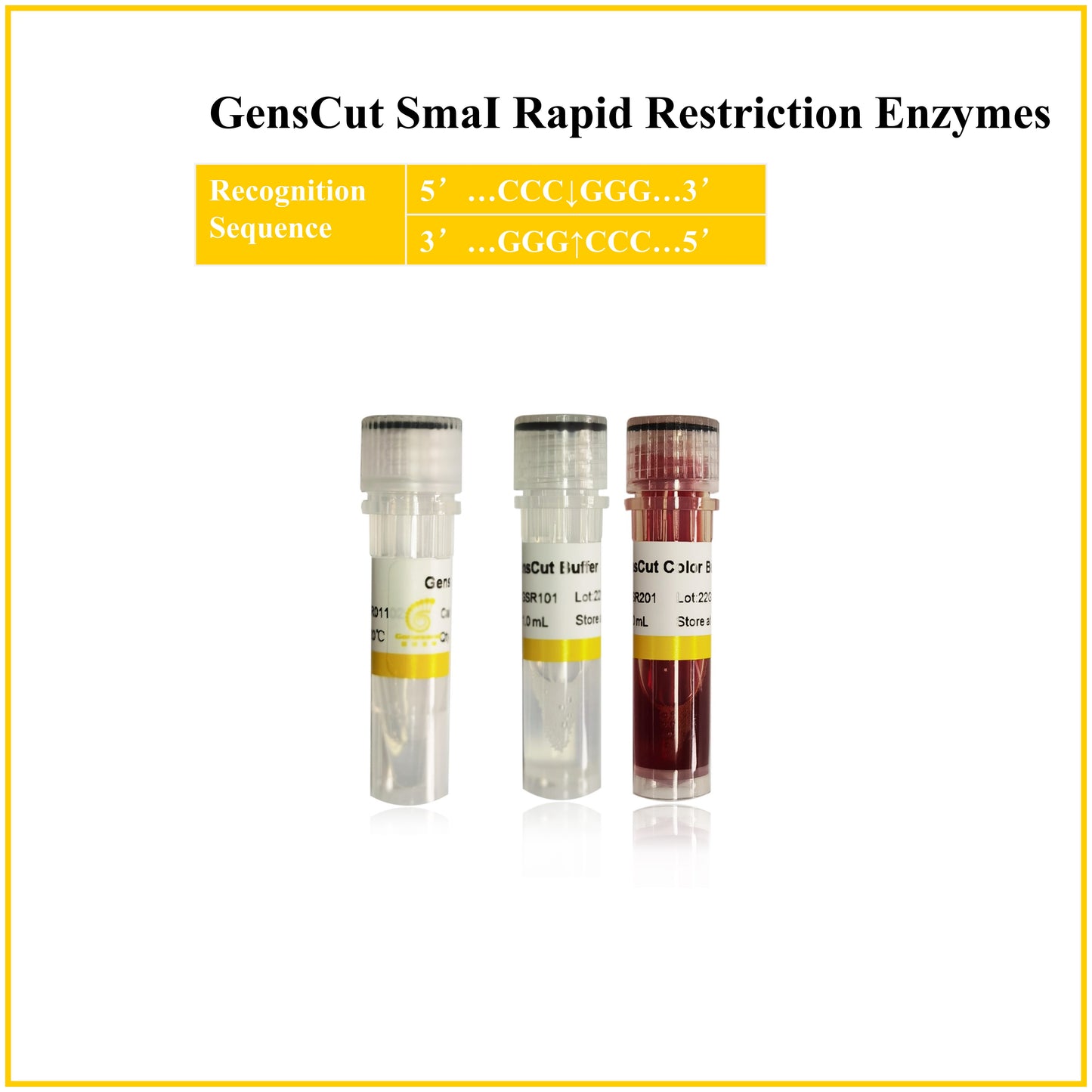 GensCut SmaI