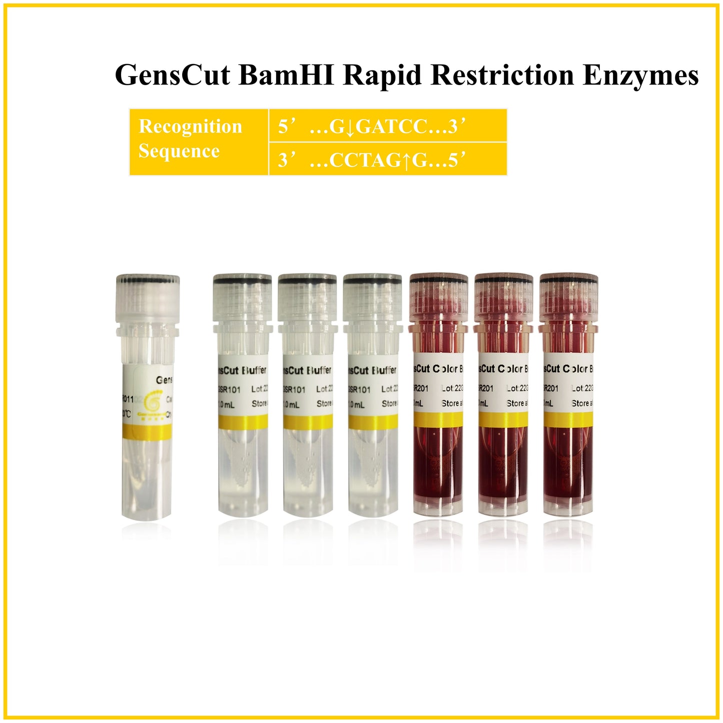GensCut BamHI