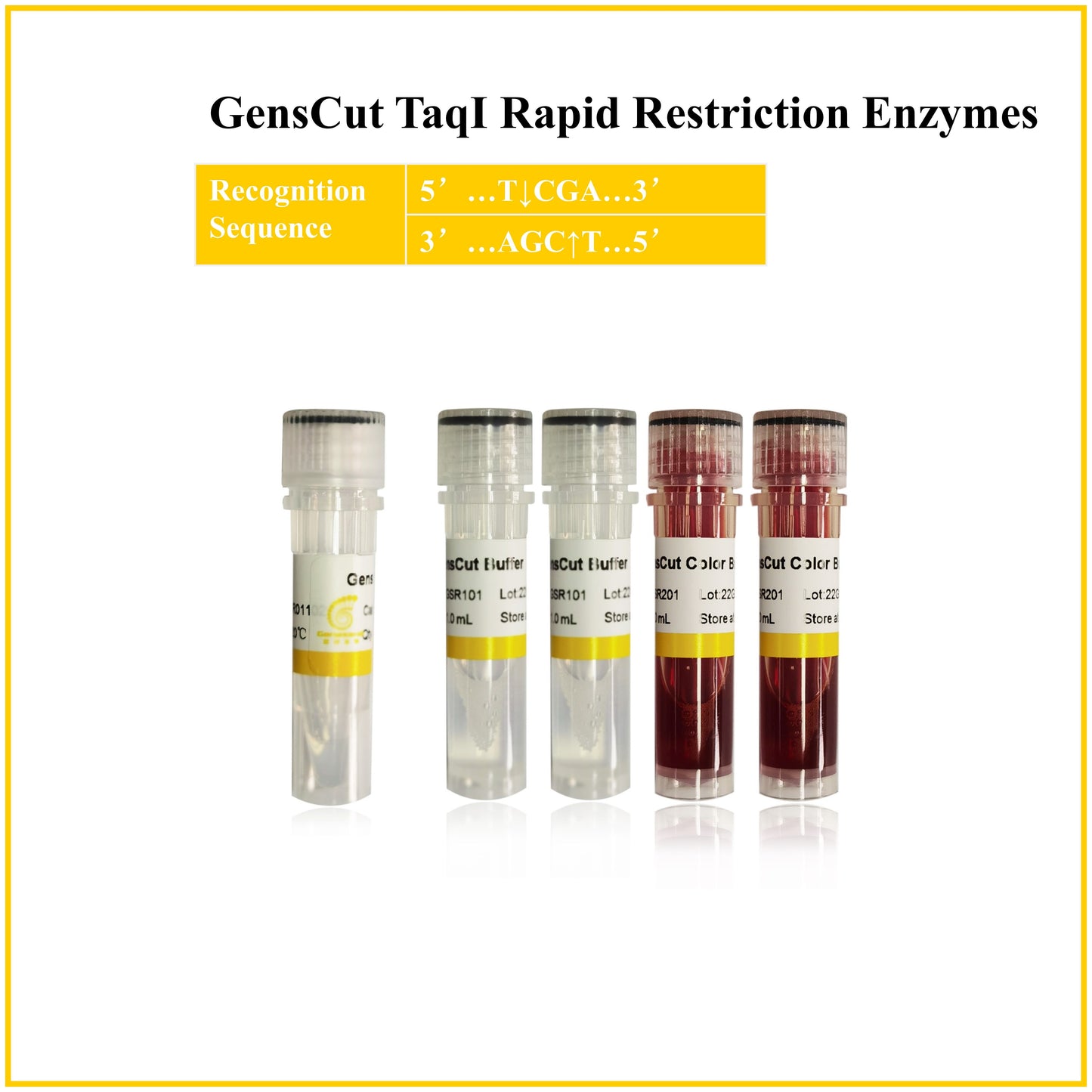 GensCut TaqI