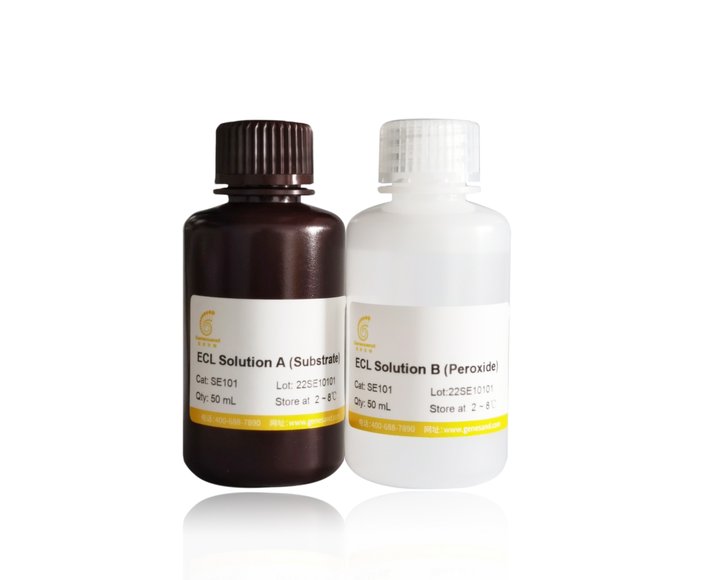 Ultrasensitive ECL
Chemiluminescence Detection Kit
