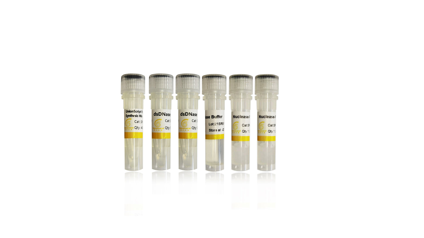 UnionScript First-strand cDNA
Synthesis Mix for qPCR