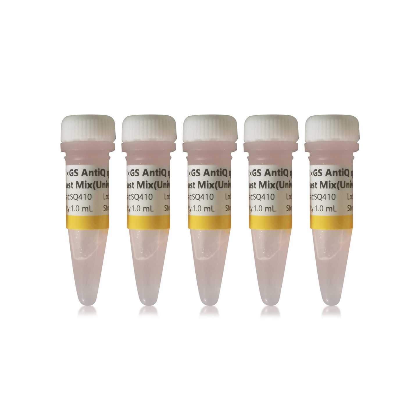 GSAntiQ qPCR SYBR Green Fast
Mix(Universal)