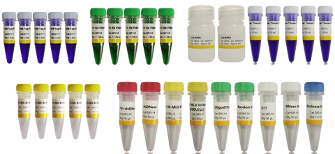 PCR & RT-PCR