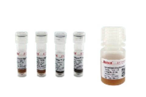 Dextran-based Magentic Beads