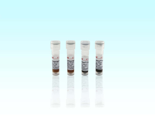 Nucleic Acid Extraction Magnetic Beads Trial Kit