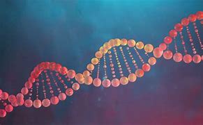 Custom Gene Synthesis