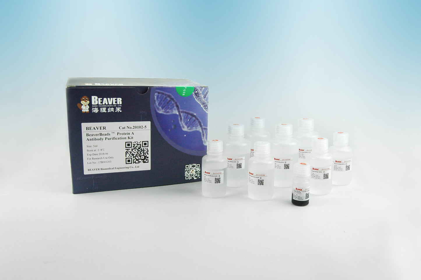 BeaverBeads™ Protein A Antibody Purification Kit