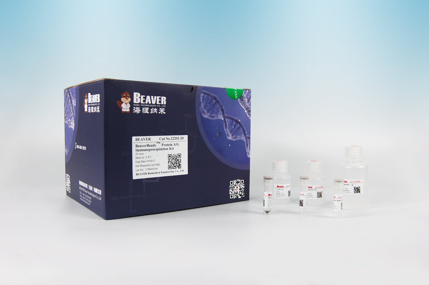 BeaverBeads™ Protein A/G Immunoprecipitation