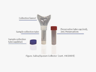 Saliva DNA/RNA Collector