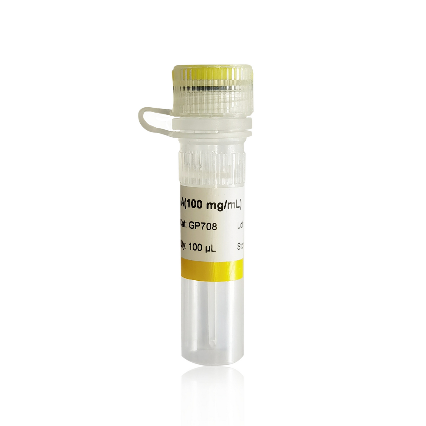 RNase A(100 mg/mL)