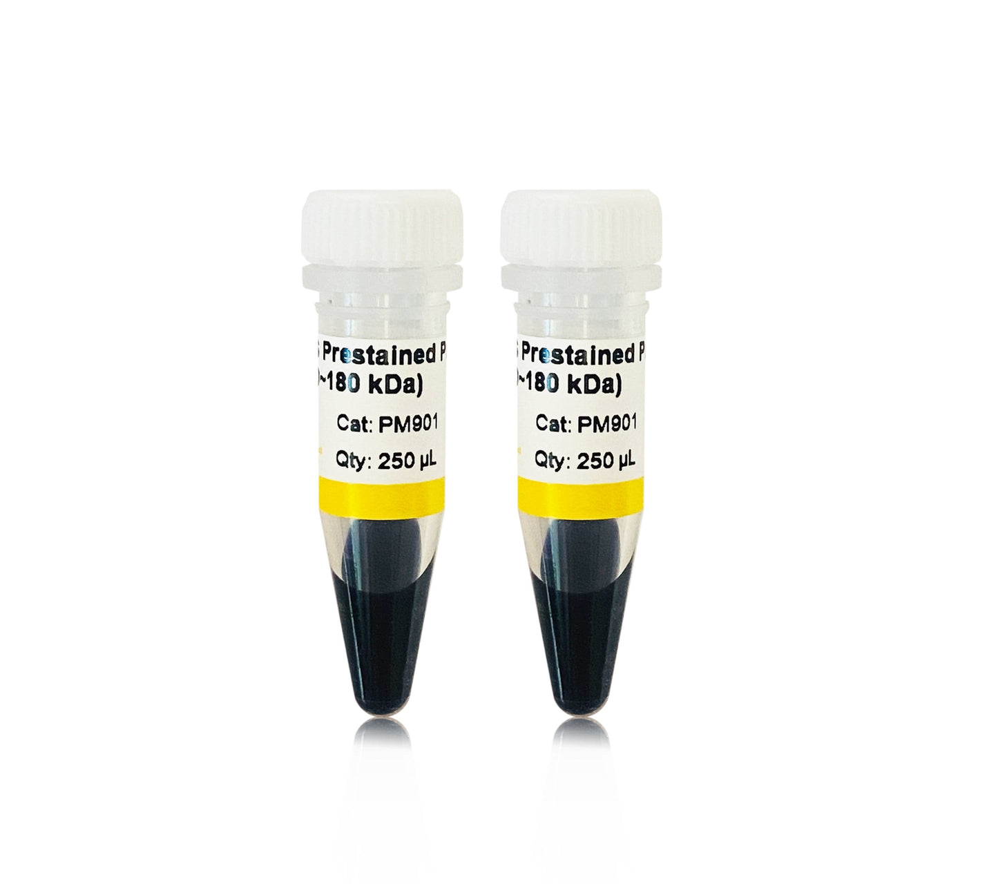 GS Prestained Protein Ladder (10~180
kDa)