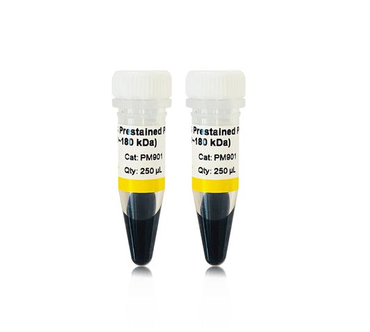 GS Prestained Protein Ladder  (8~250kDa)