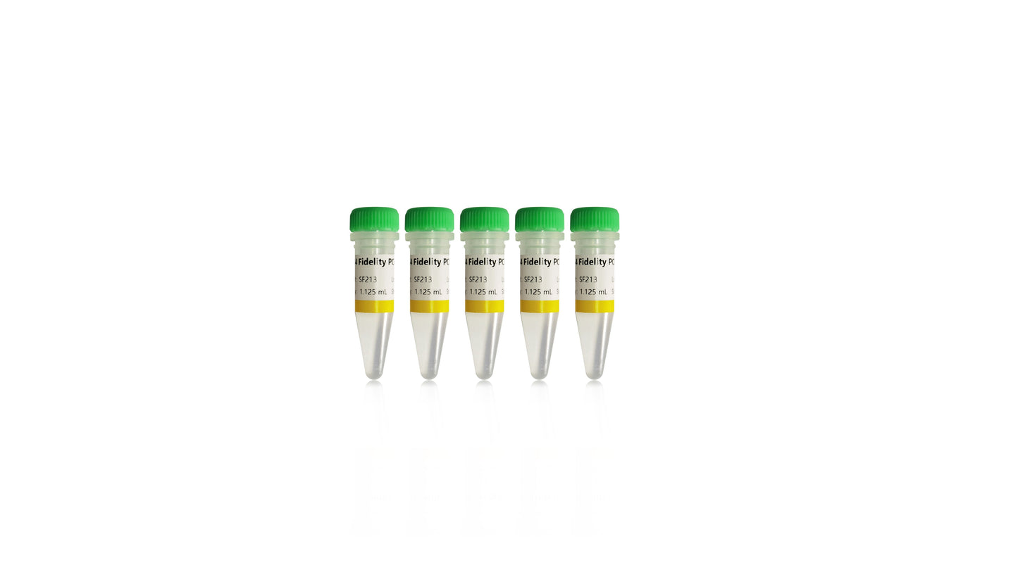 1.1×S4 Fidelity PCR Mix(dye -)