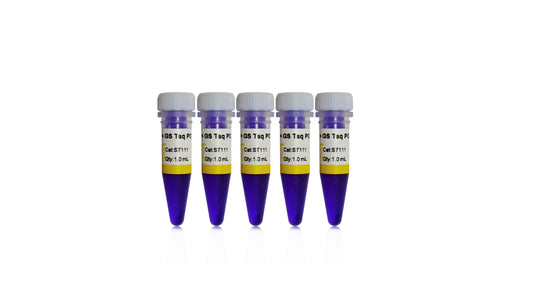 2×GS Taq PCR Mix