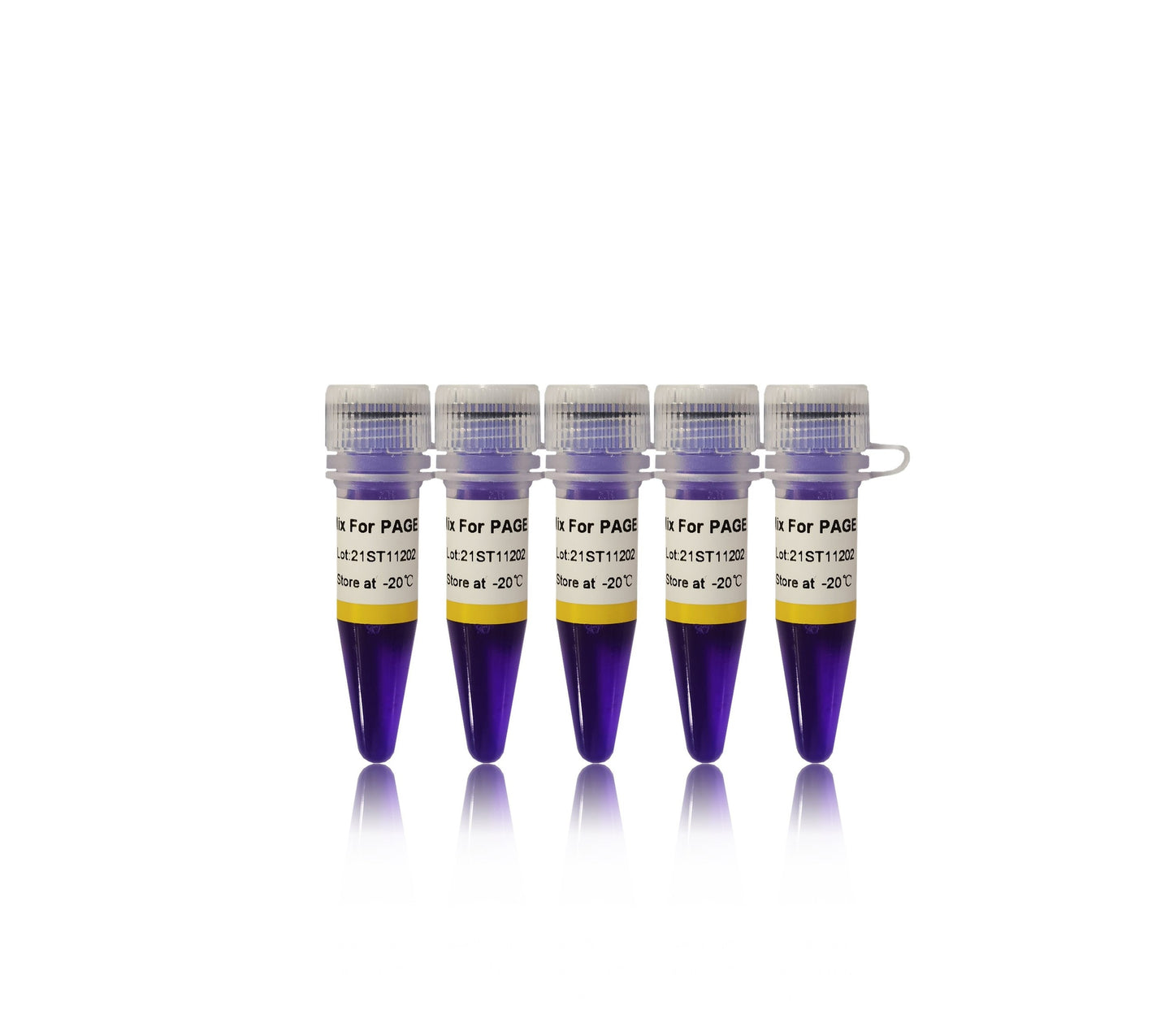 2×GS Taq PCR Mix For PAGE